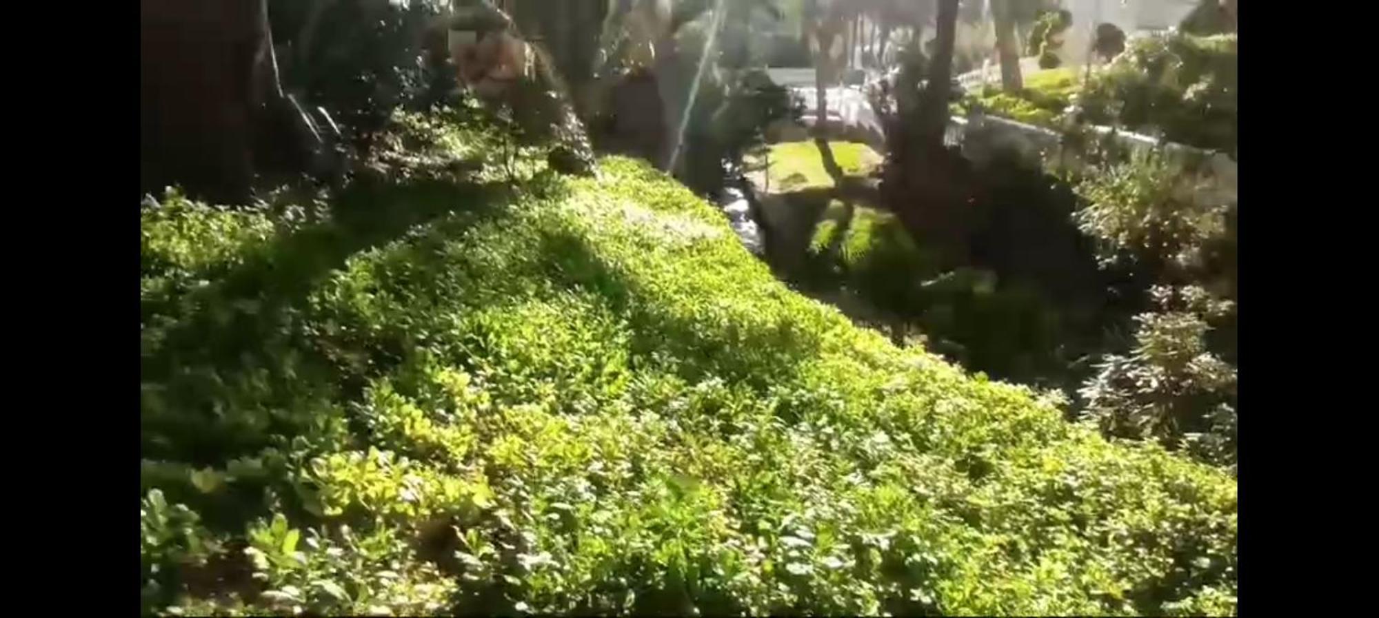 Nuevo Apto Hasta 6 Personas Muy Cerca De Playa Levante Con Jardines Y Gran Piscina , Pista De Tennis Y Futbol Deportes Y Zona Infantil ,en Urbanizacion Con Parking Appartement *